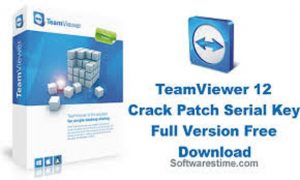 teamviewer crack key